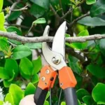 Pruning Shears 8 inch Garden Scissors Garden Shears Tree Trimmers Secateurs Clipper Tools - Image 2